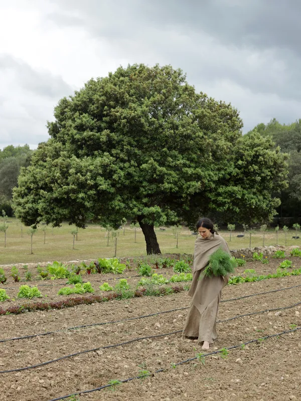 Taller La Nutrición y el Deporte
